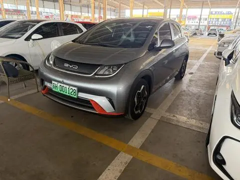 BYD Dolphin 2021