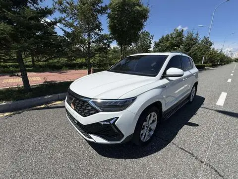 Jetta VS7 2022