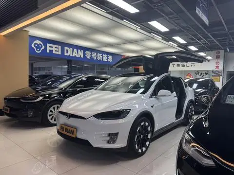 Tesla Model X 2019