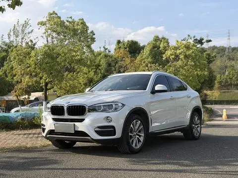 BMW X6 2015