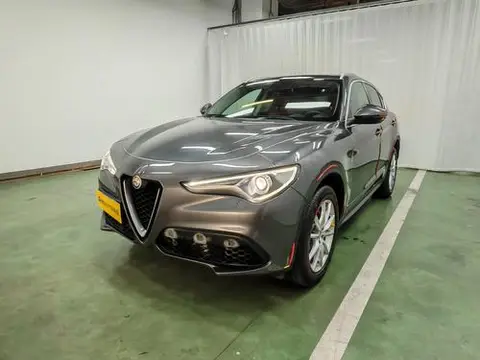 Alfa Romeo Stelvio斯坦维 2017
