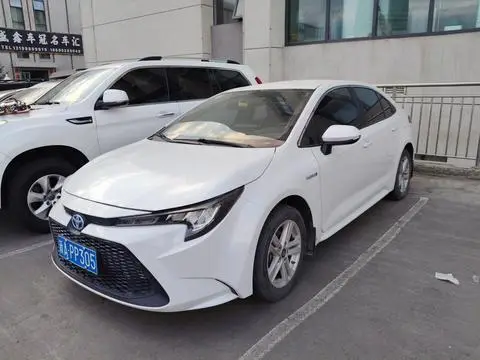 Toyota 雷凌 2019