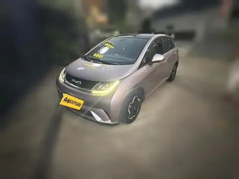 BYD Dolphin 2021