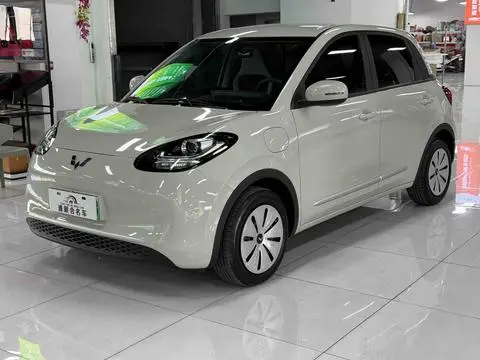 Wuling Bingo 2024