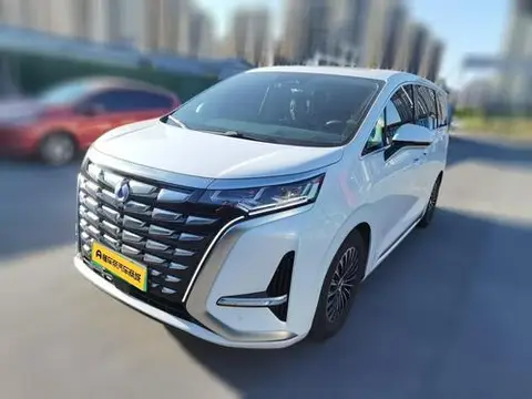 Denza D9 DM 2022