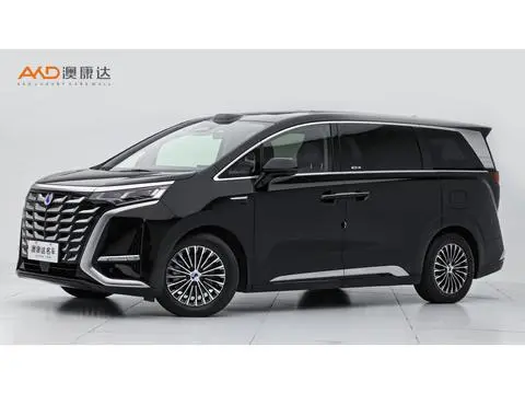 Denza D9 DM 2025