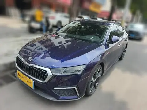 Skoda 明锐 2021