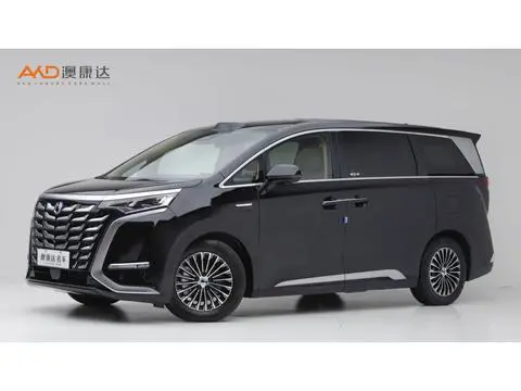 Denza D9 DM 2025