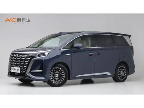 Denza D9 DM 2025