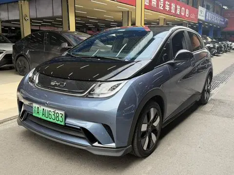 BYD Dolphin 2024
