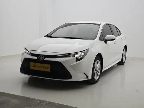 Toyota 雷凌 2022
