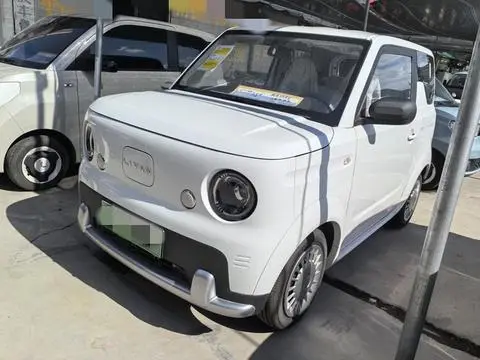 LIVAN (Ruilan) 蓝气球 2025