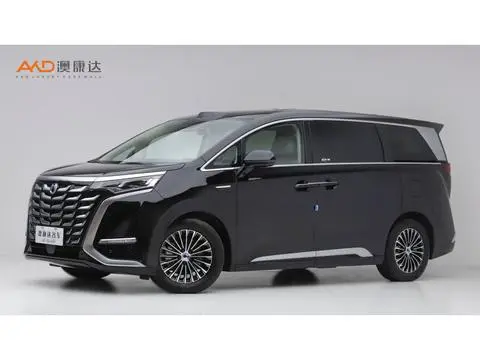 Denza D9 DM 2025