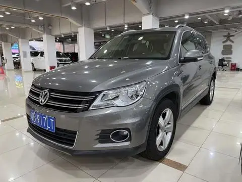 Volkswagen Tiguan 2010