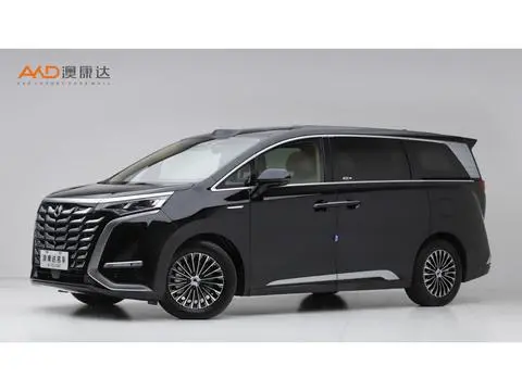 Denza D9 DM 2025