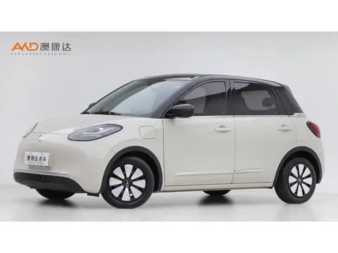 Wuling Bingo 2024