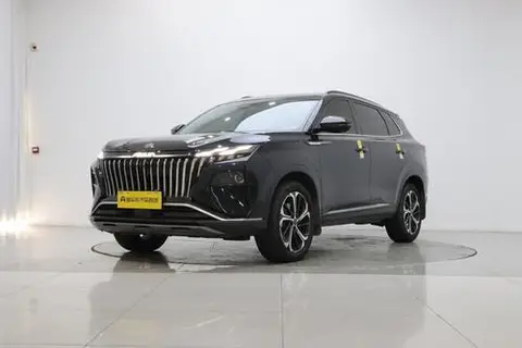 Dongfeng 皓极 2022