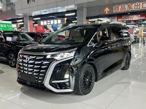 Denza D9 DM 2024