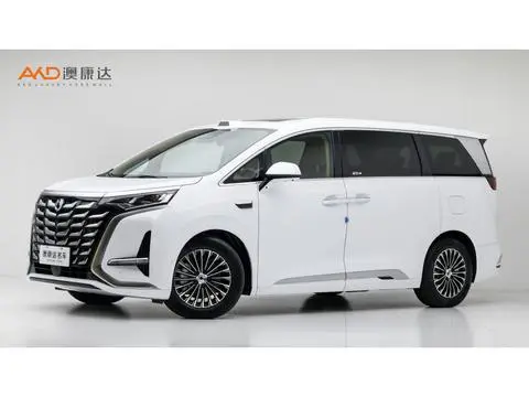 Denza D9 DM 2025