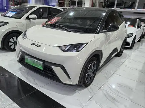 BYD Seagull 2025