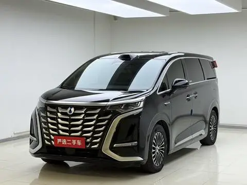 Denza D9 DM 2025
