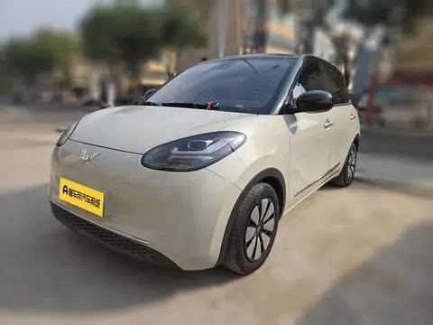 Wuling Bingo 2023