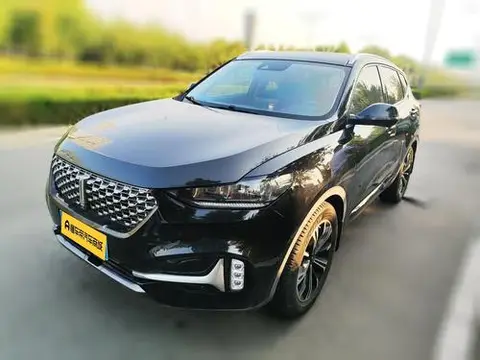 Wey VV6 2021