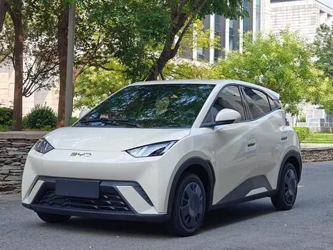 BYD Seagull 2024