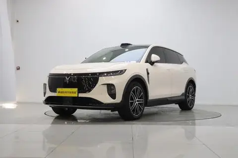 Voyah 知音 2025