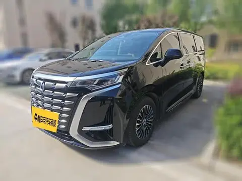 Denza D9 DM 2024