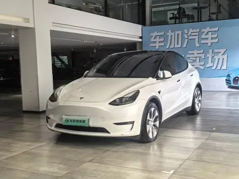 Tesla Model Y 2021