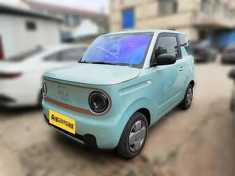 Geely Panda 2024