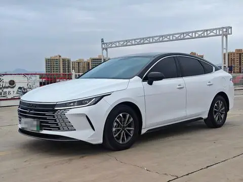BYD Destroyer 05 2024