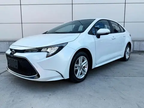 Toyota 雷凌 2021