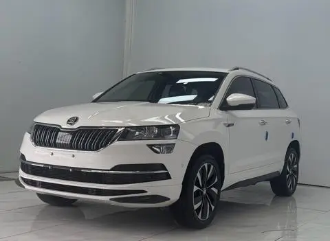 Skoda 柯珞克 2022