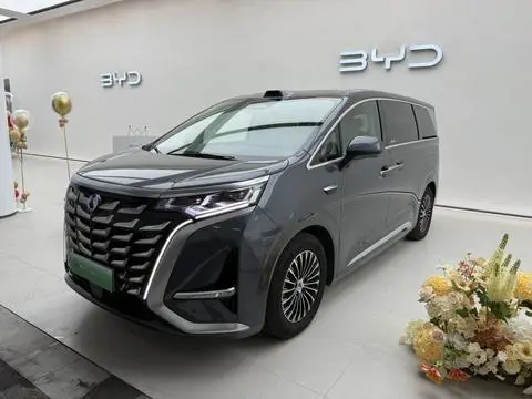 Denza D9 DM 2025