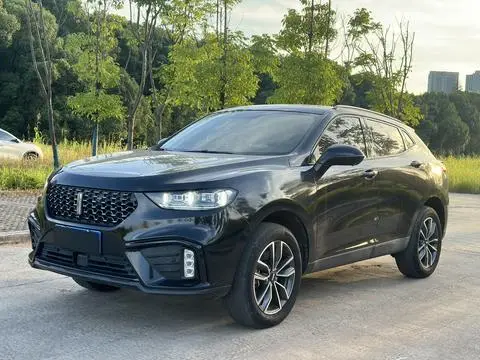 Wey VV5 2020