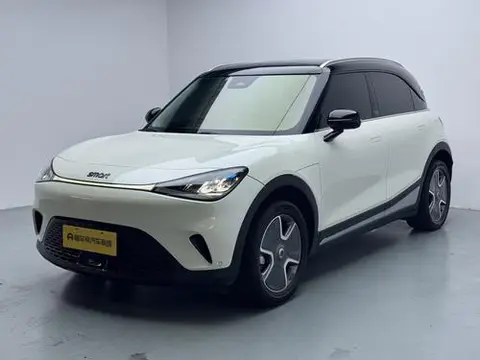 smart 精灵#1 2023