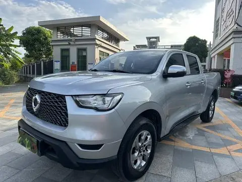 Great Wall 炮 2021