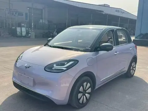 Wuling Bingo 2025