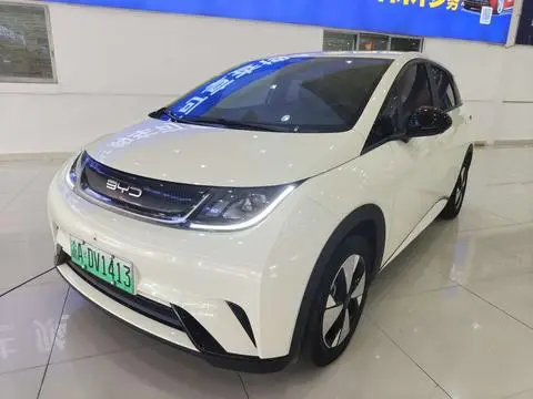 BYD Dolphin 2023