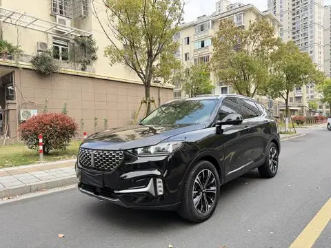 Wey VV6 2021