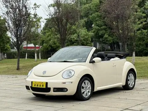 Volkswagen 甲壳虫 2010