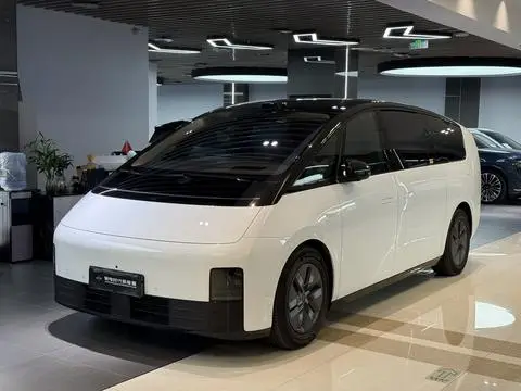 Li MEGA 2025
