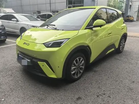 BYD Seagull 2024