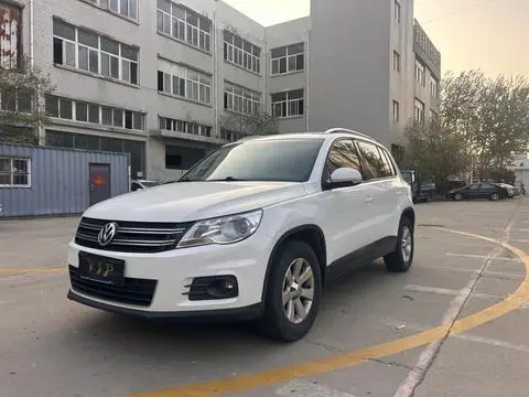 Volkswagen Tiguan 2010