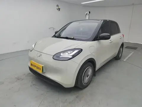 Wuling Bingo 2024