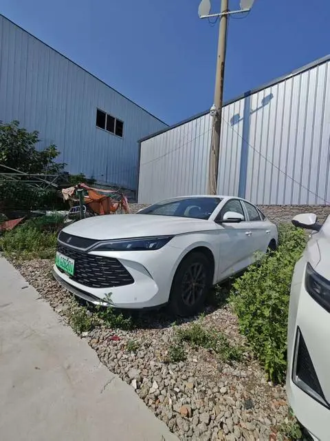 BYD 秦L DM 2026