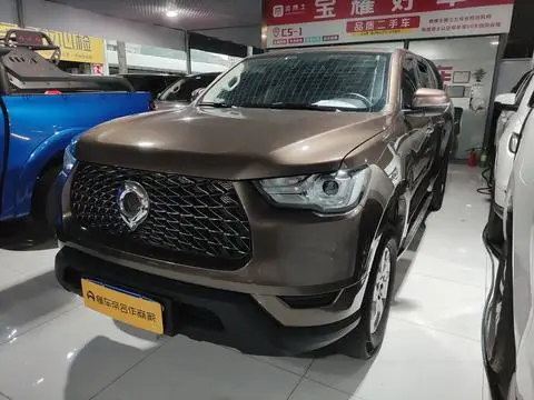 Great Wall 炮 2021