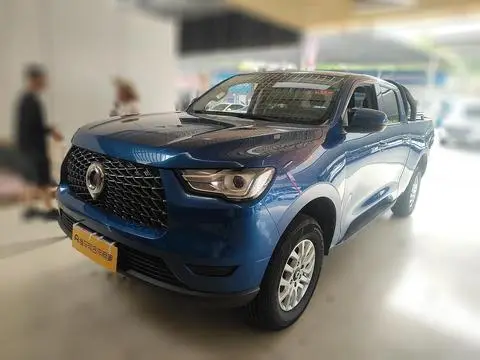 Great Wall 炮 2020